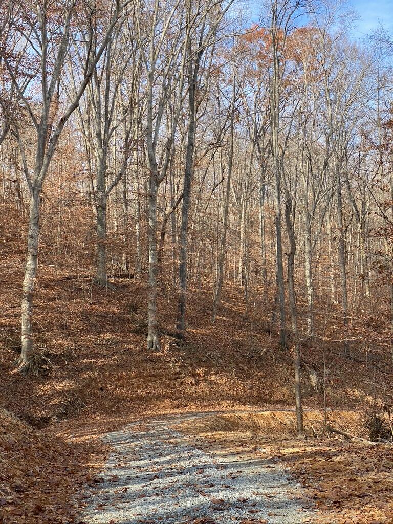 Lot 1 Windlass Road Moneta, VA 24121 - Photo 29 of 36 a backyard of a house with lots of green space