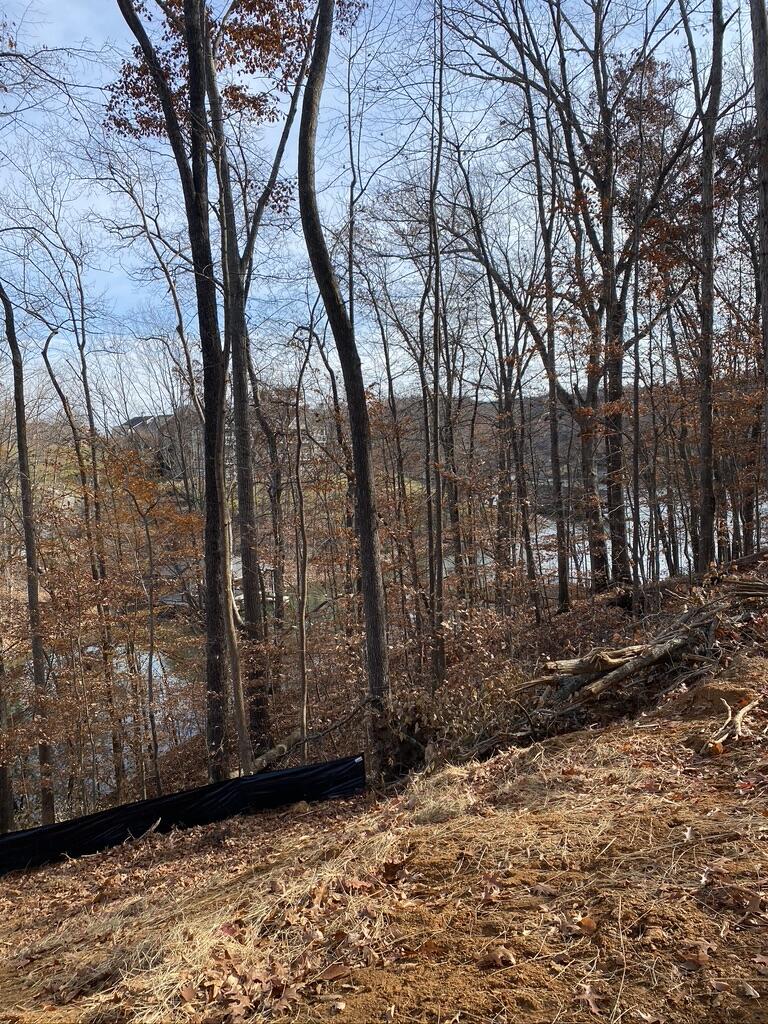 Lot 1 Windlass Road Moneta, VA 24121 - Photo 30 of 36 a view of backyard with tree