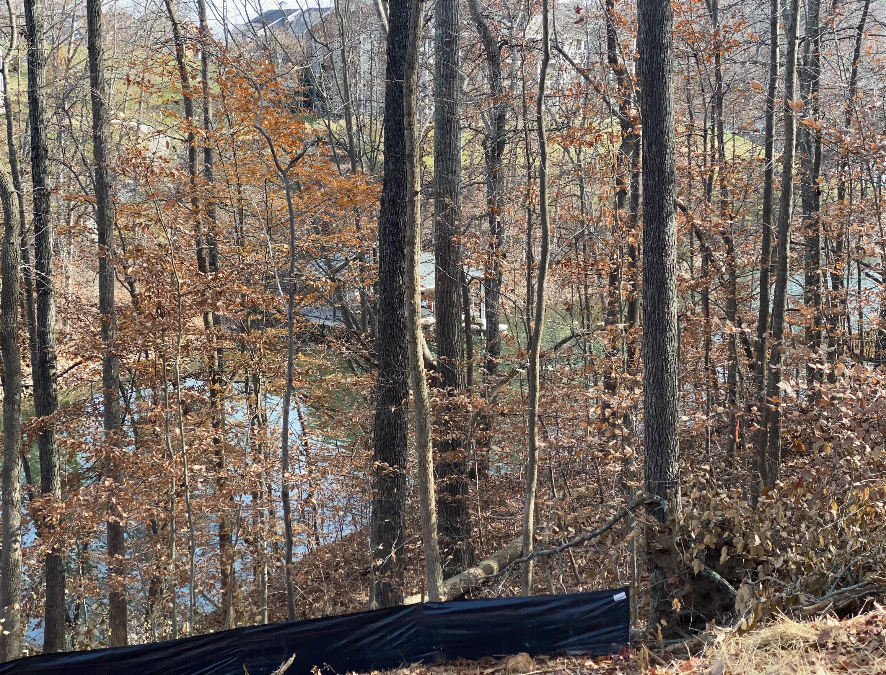 Lot 1 Windlass Road Moneta, VA 24121 - Photo 31 of 36 a view of outdoor space and garden