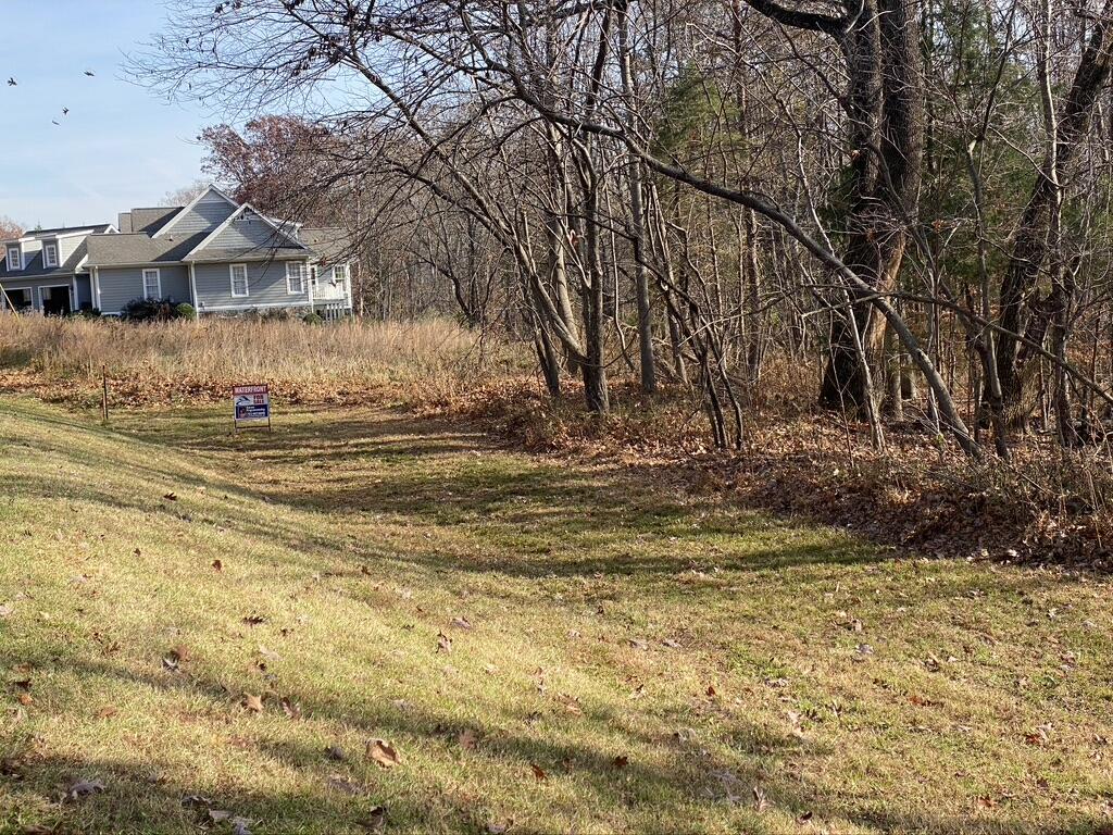 Lot 1 Windlass Road Moneta, VA 24121 - Photo 34 of 36 a view of a yard with an trees