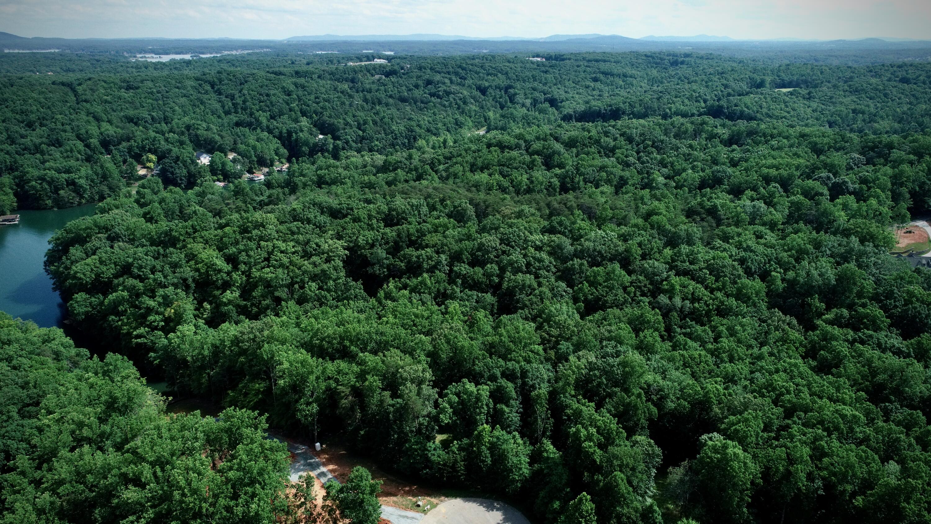 Lot 1 Windlass Road Moneta, VA 24121 - Photo 5 of 36 an aerial view of a house with a yard
