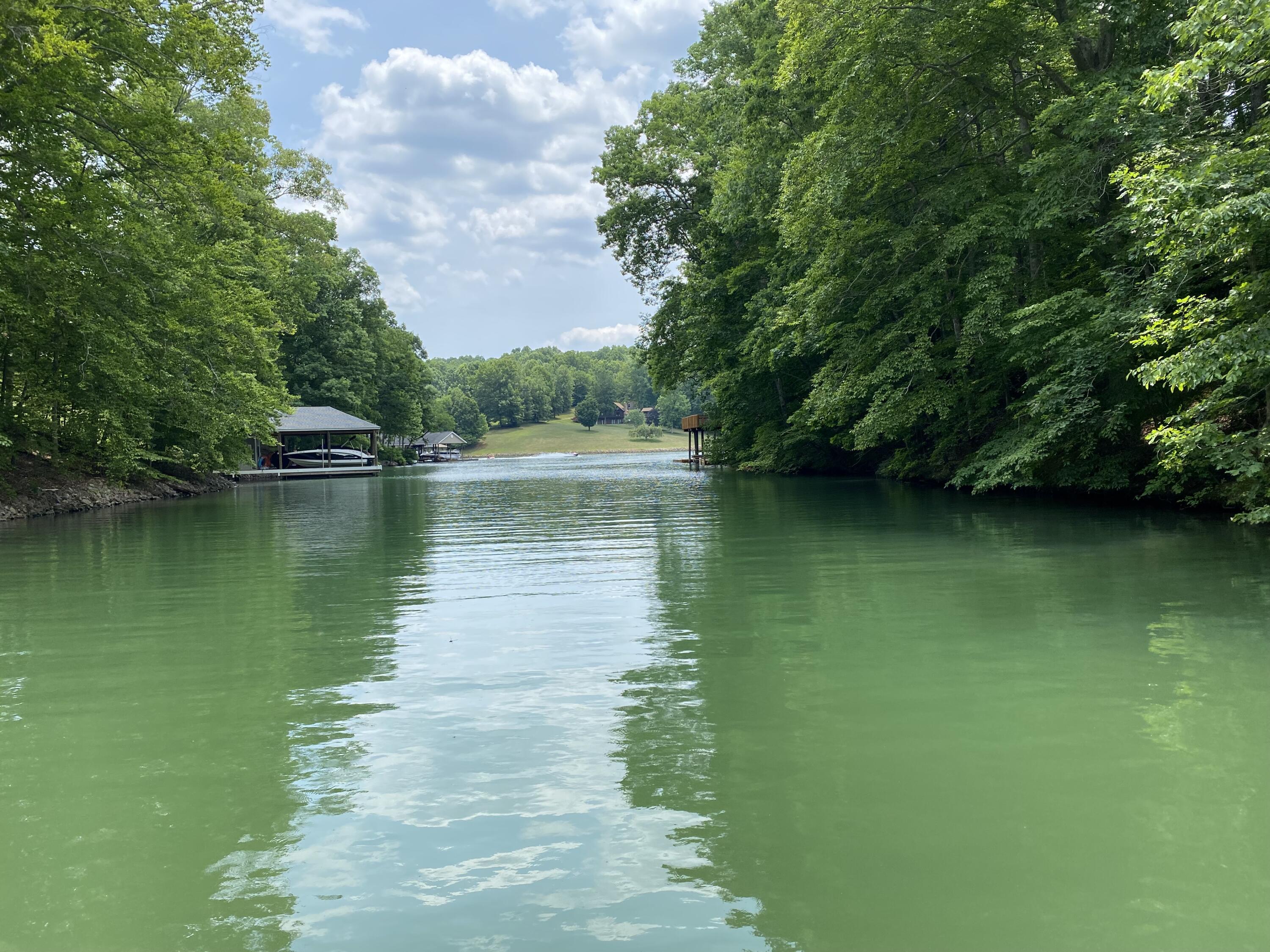Lot 1 Windlass Road Moneta, VA 24121 - Photo 6 of 36 a view of a lake view with a large trees