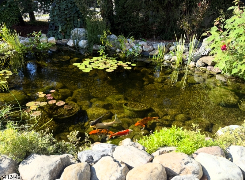 41 Springfield Avenue Summit, NJ 07901 - Photo 17 of 19 a bunch of flowers in a garden