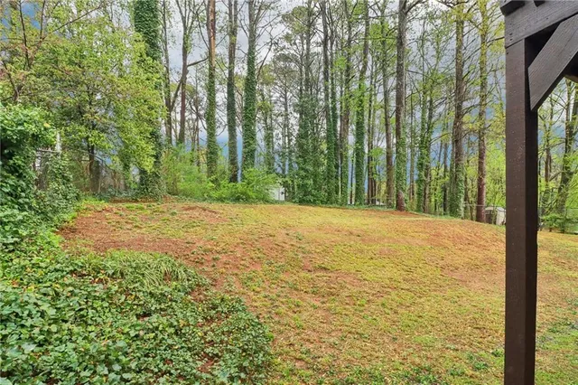 a view of a yard with large trees