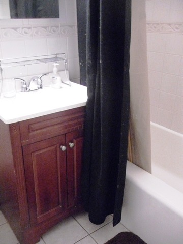 6030 North Sheridan Road, Unit 1604 Chicago, IL 60660 - Photo 5 of 6 a bathroom with a sink and a mirror