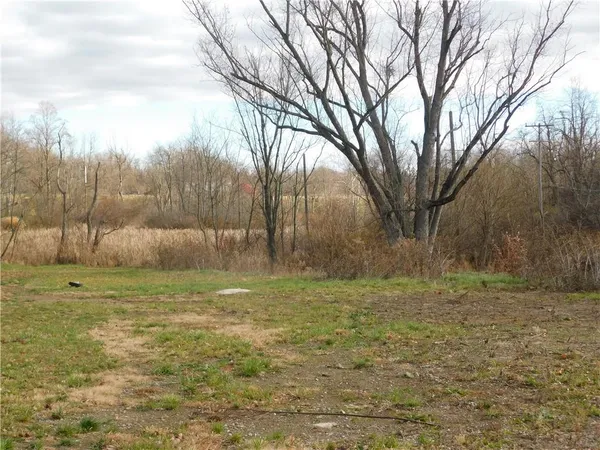 a view of outdoor space with trees