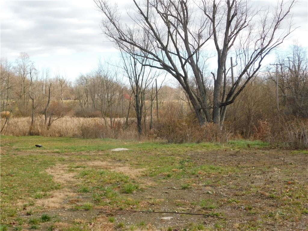 295 Walnut Hill Road Uniontown, PA 15401 - Photo 3 of 11 a view of outdoor space with trees