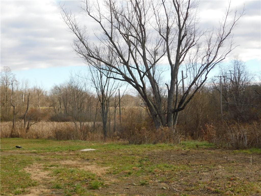 295 Walnut Hill Road Uniontown, PA 15401 - Photo 5 of 11 a backyard of a house with lots of green space