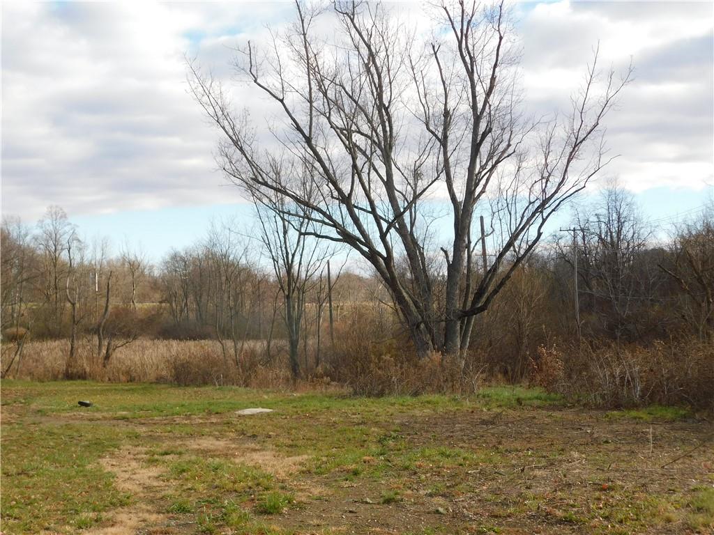 295 Walnut Hill Road Uniontown, PA 15401 - Photo 6 of 11 a view of a yard with large trees
