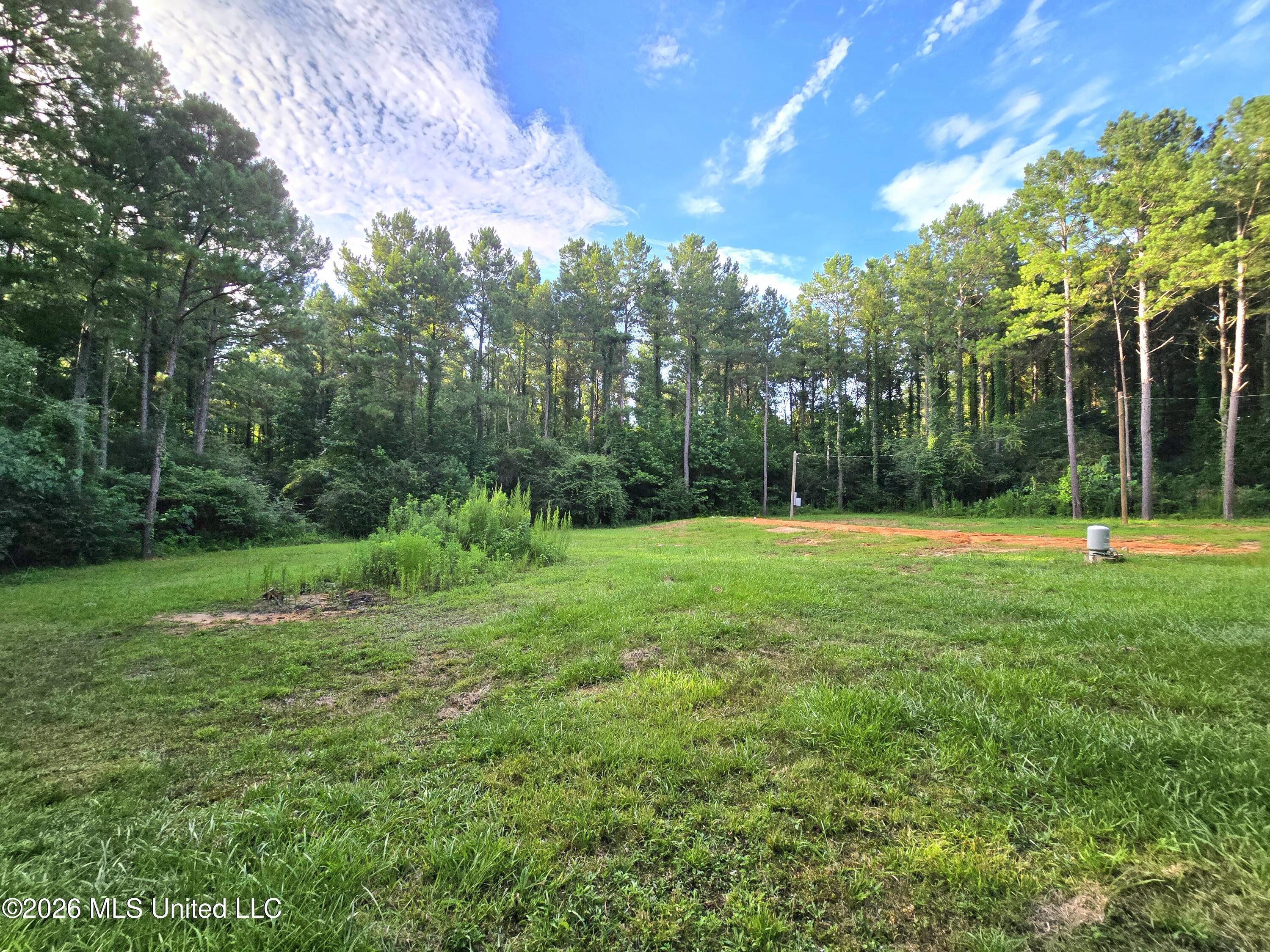 1189 Shady Grove Road Osyka, MS 39657 - Photo 18 of 27 20260622_183643