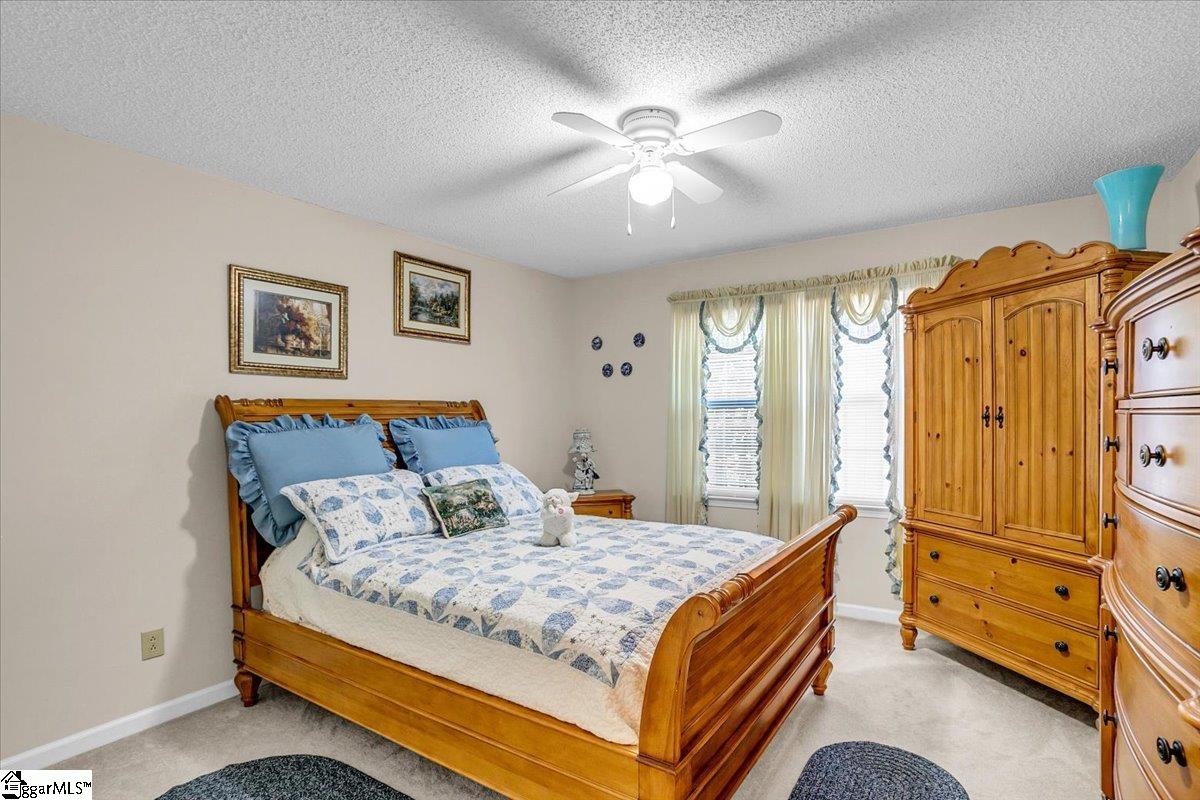 7 Harvester Lane Fountain Inn, SC 29644 - Photo 28 of 49 Gallery Image 28