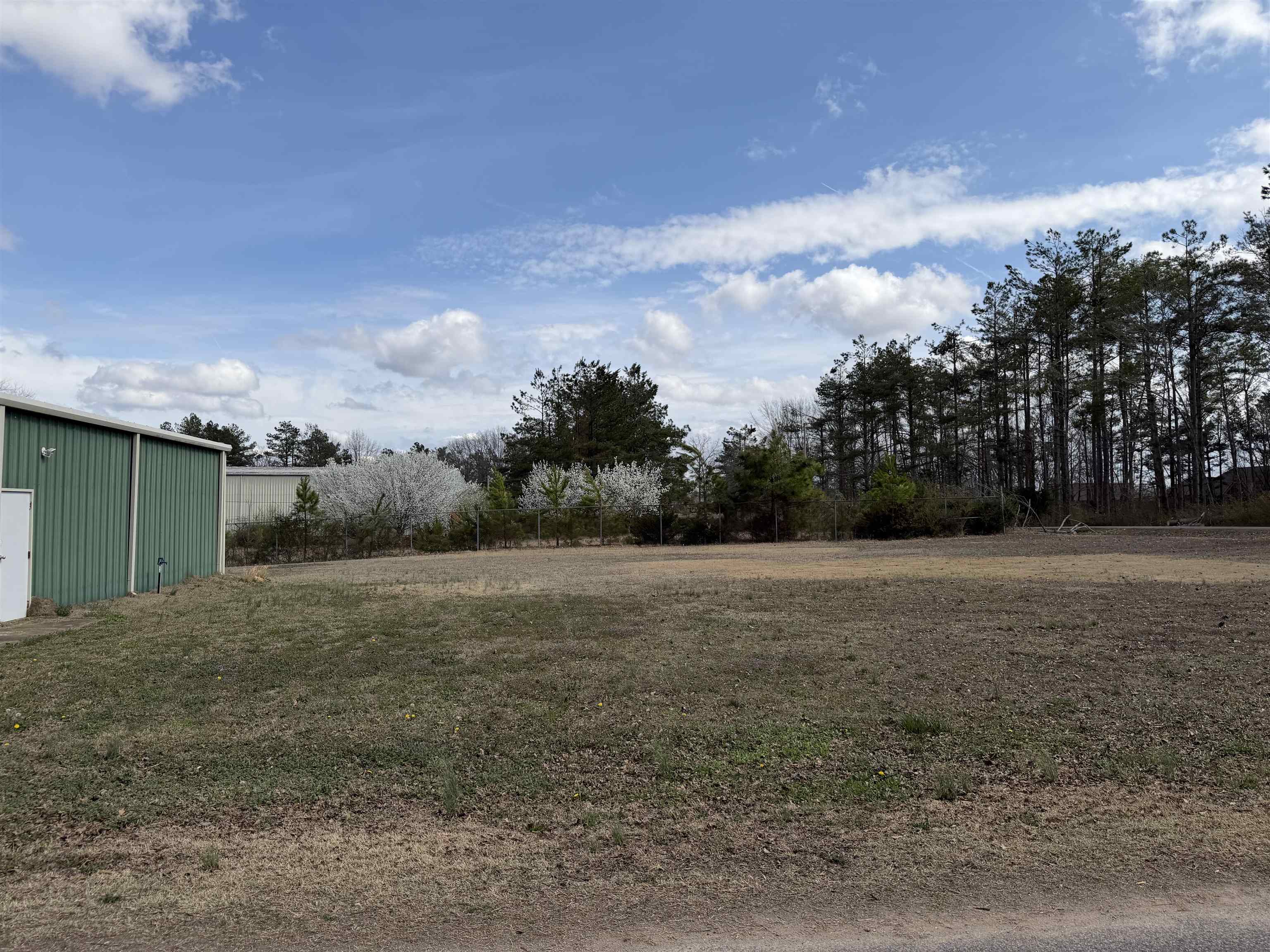 334 Cue Street Adamsville, TN 38310 - Photo 3 of 6 View of yard