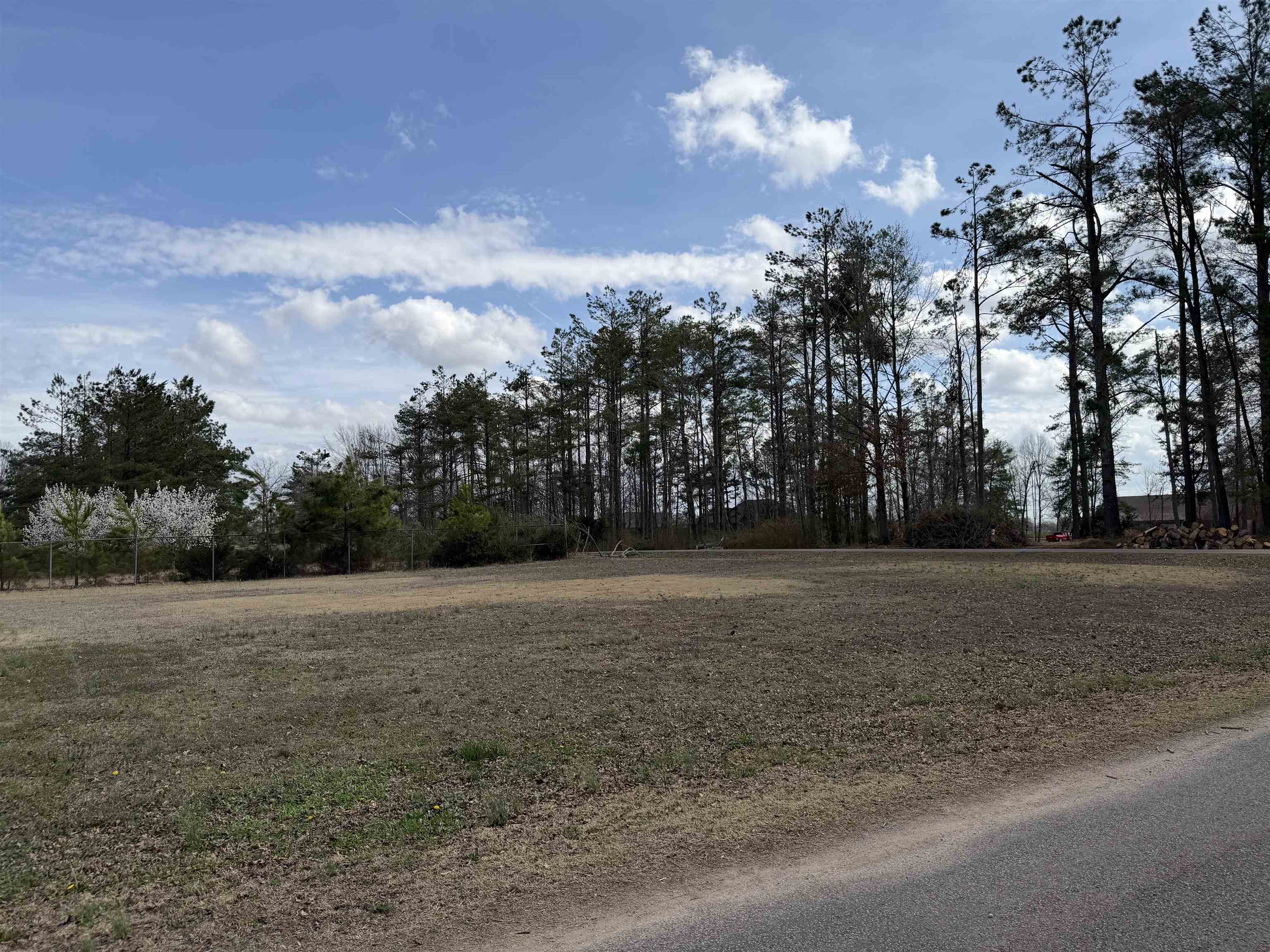 334 Cue Street Adamsville, TN 38310 - Photo 4 of 6 View of undeveloped land