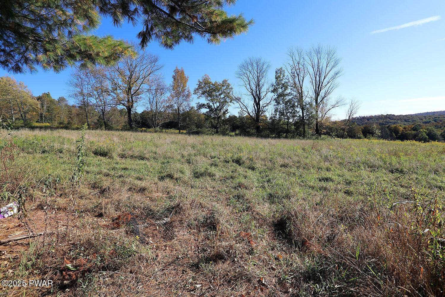 188 Baldwin Hill Road Damascus, PA 18415 - Photo 9 of 21