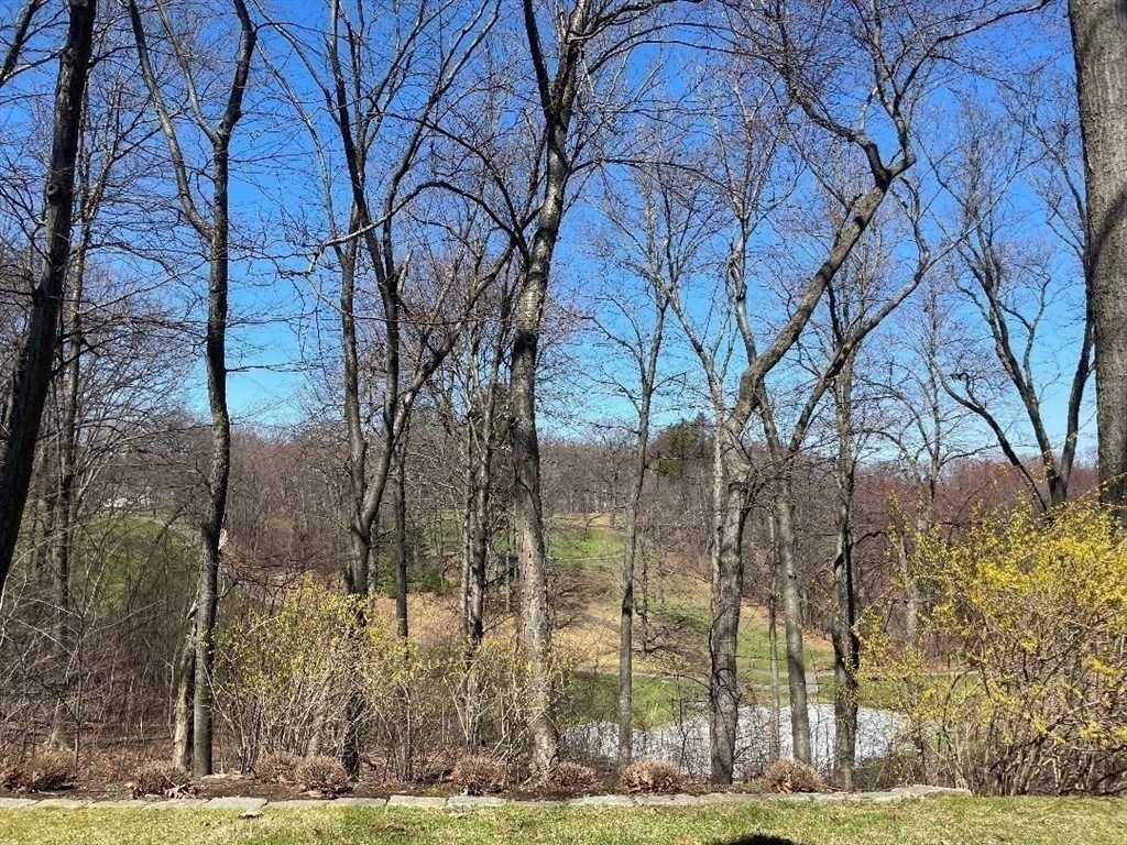 2 Windpath East, Unit 2 West Springfield, MA 01089 - Photo 6 of 41 a view of a yard