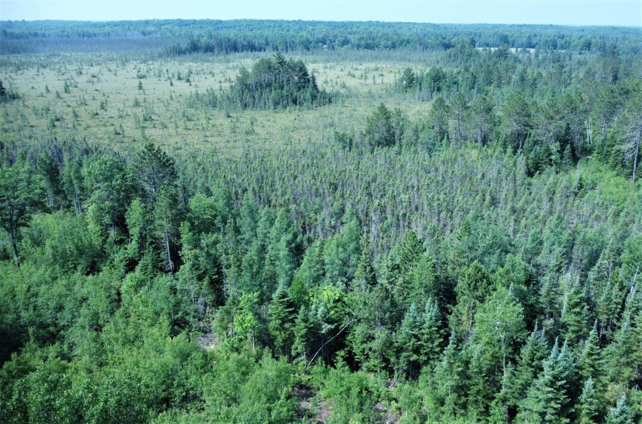 0 Cth G Rhinelander, WI 54501 - Photo 23 of 23 Gallery Image 23