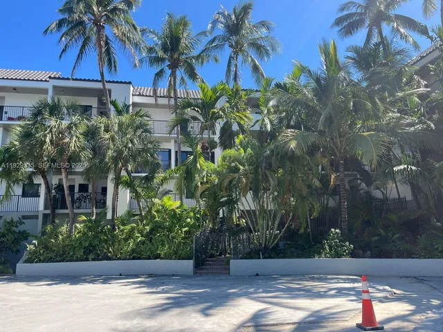 a view of a yard and palm trees