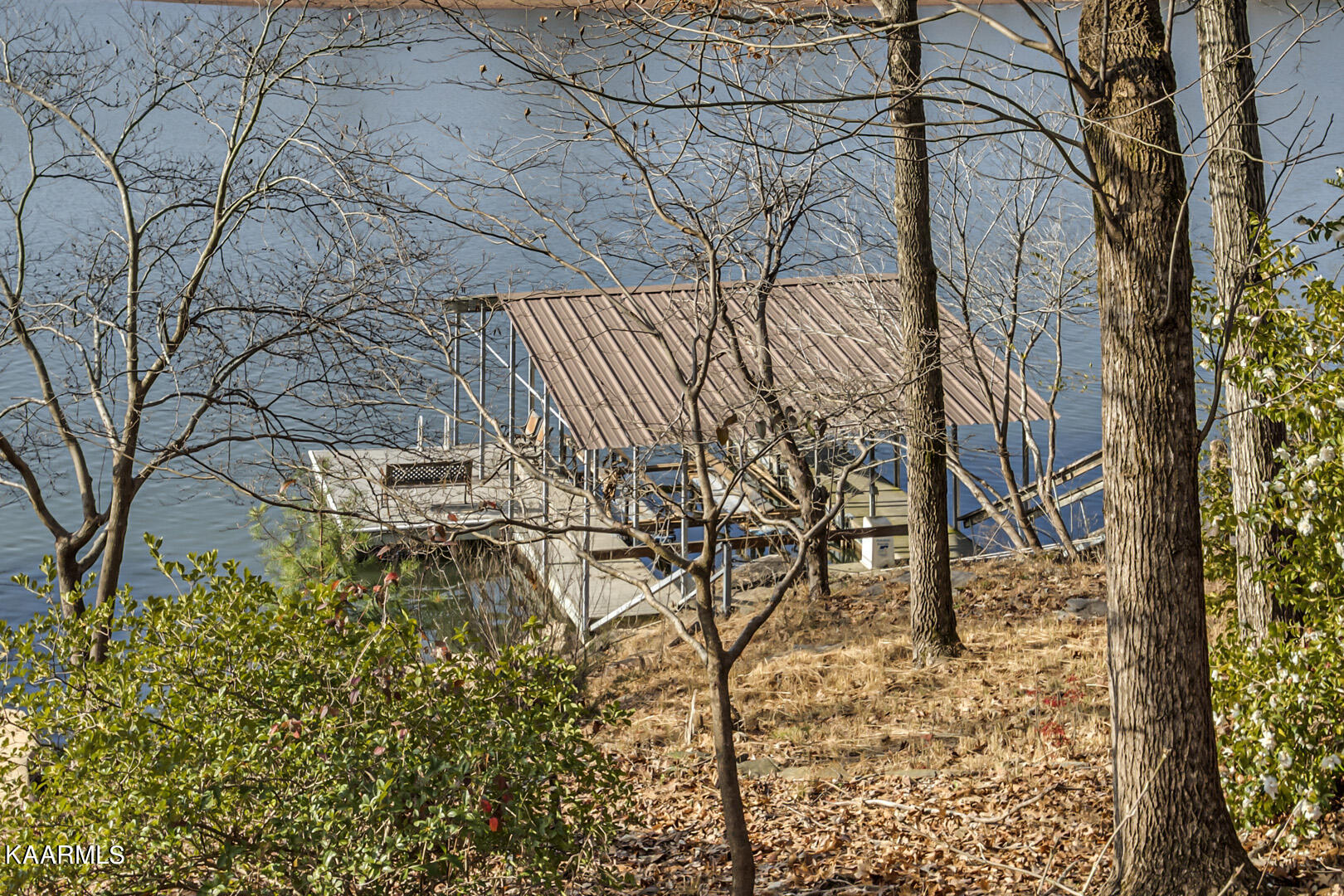 188 Dudala Way Loudon, TN 37774 - Photo 47 of 50 47_188 Dudala Way_Dock01