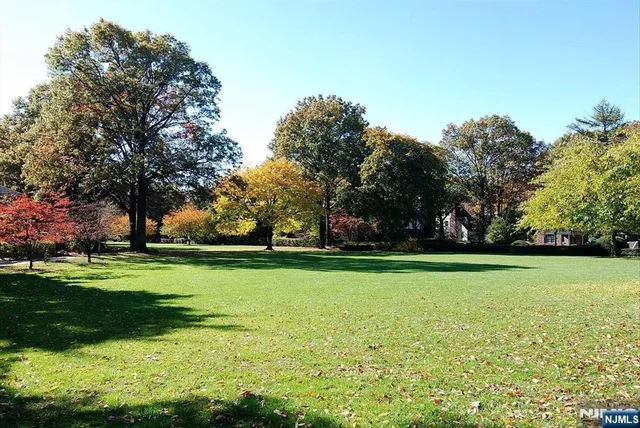 a garden with trees in the background