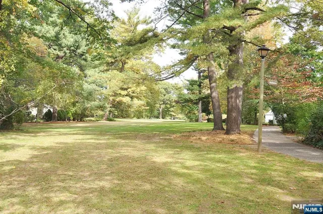 a view of a yard with a tree