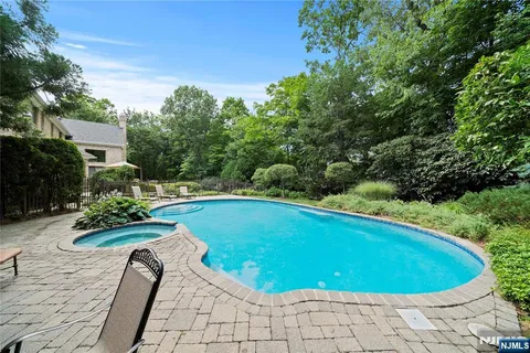 a view of a swimming pool and lounge chair