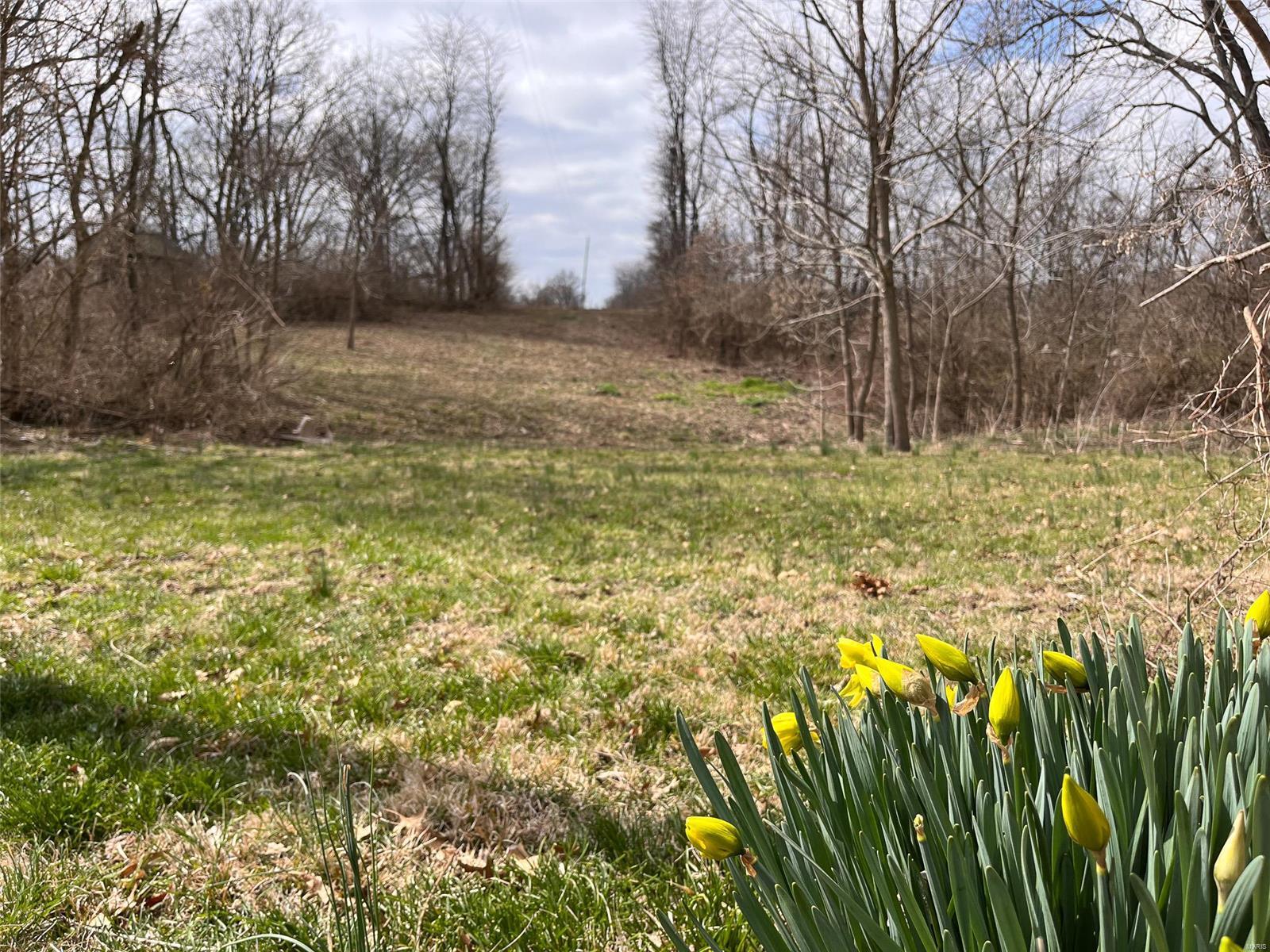 978 Cypress Road St. Jacob, IL 62281 - Photo 33 of 62