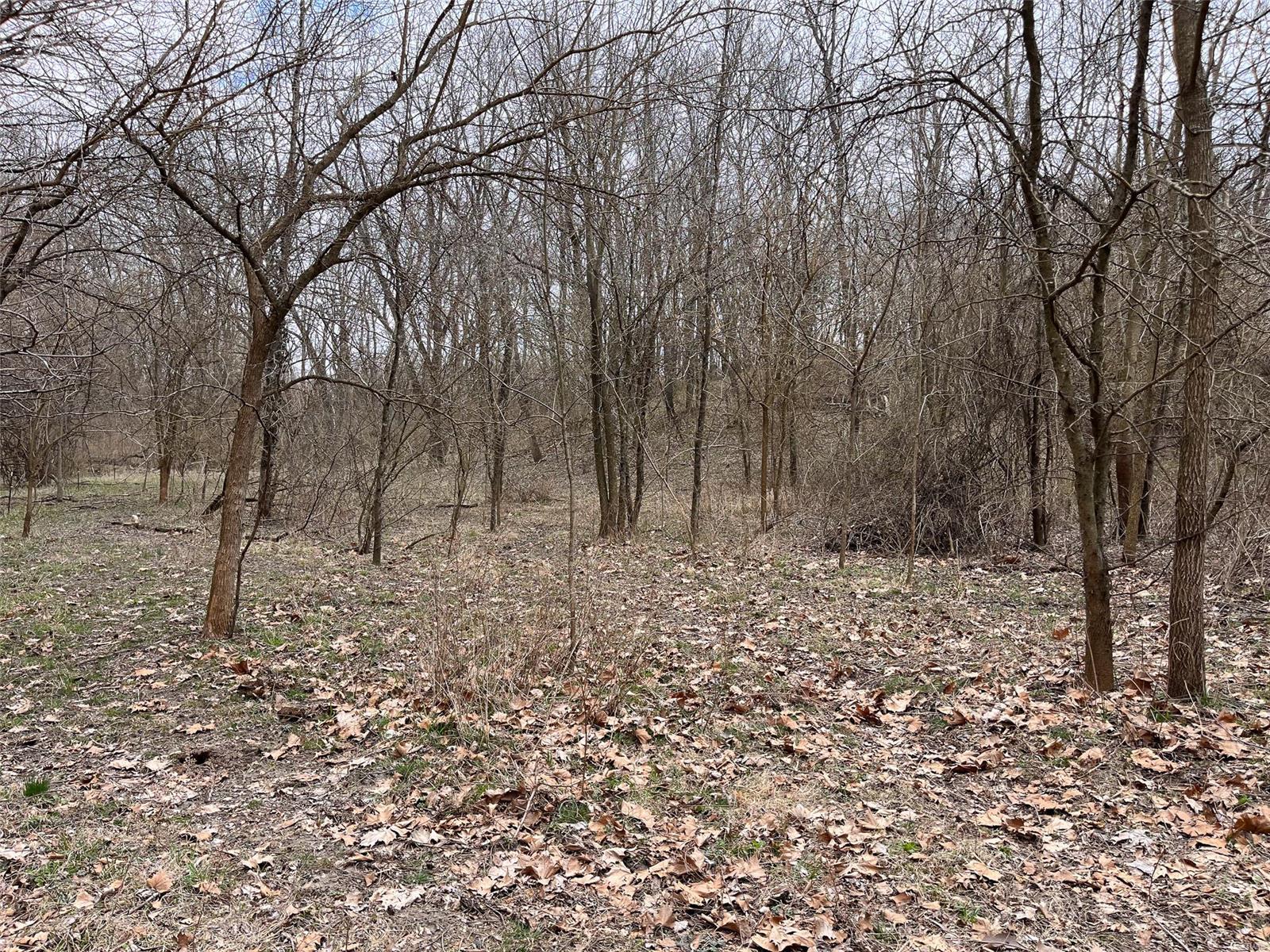 978 Cypress Road St. Jacob, IL 62281 - Photo 50 of 62