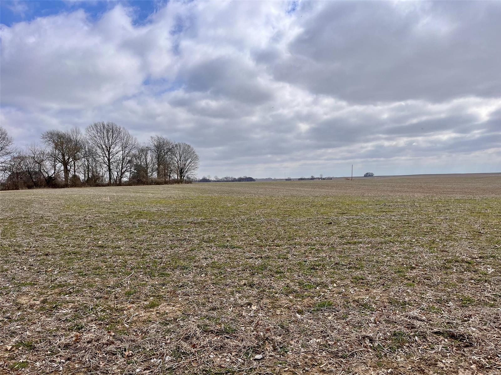 978 Cypress Road St. Jacob, IL 62281 - Photo 58 of 62