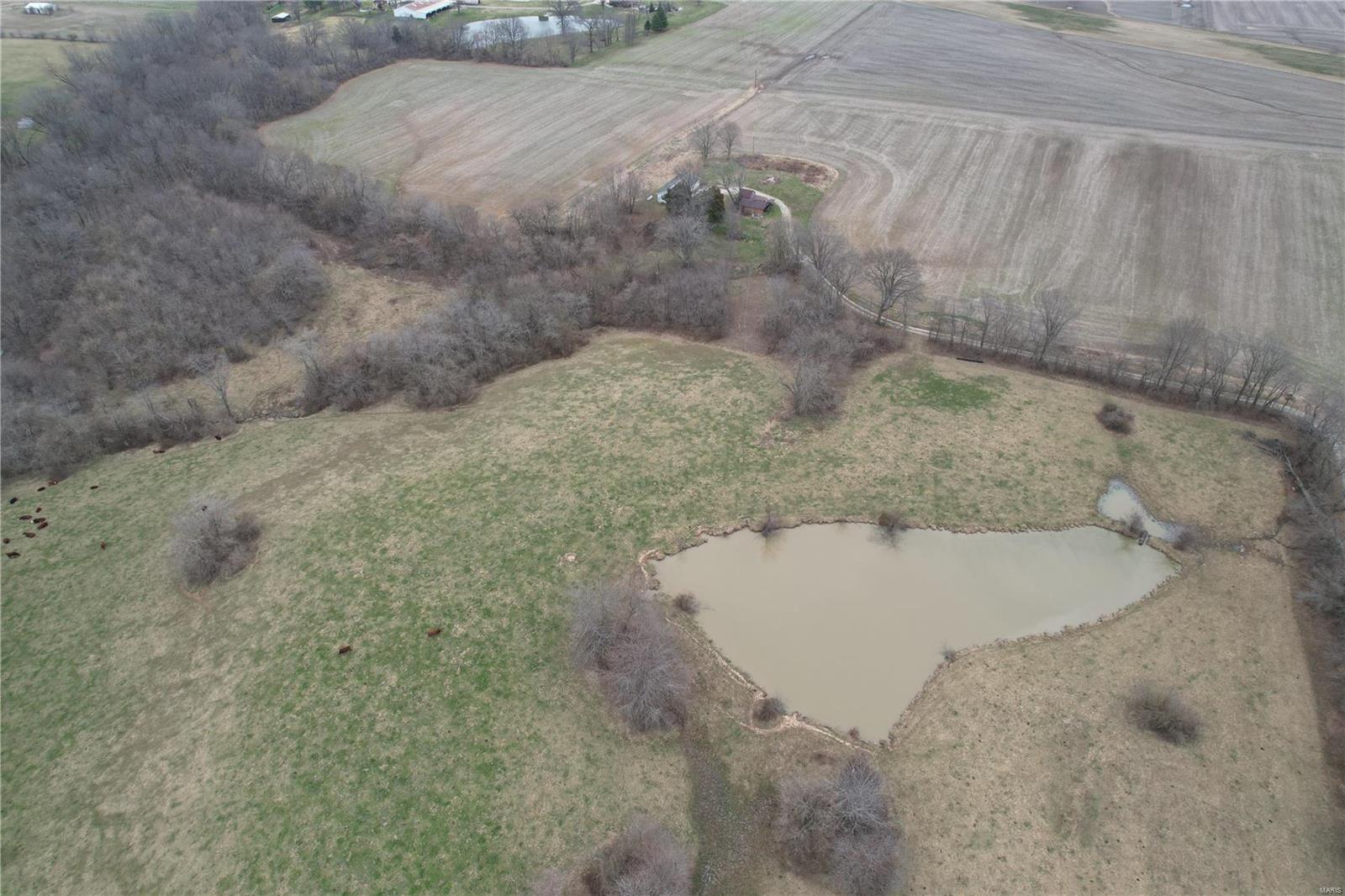 978 Cypress Road St. Jacob, IL 62281 - Photo 6 of 62