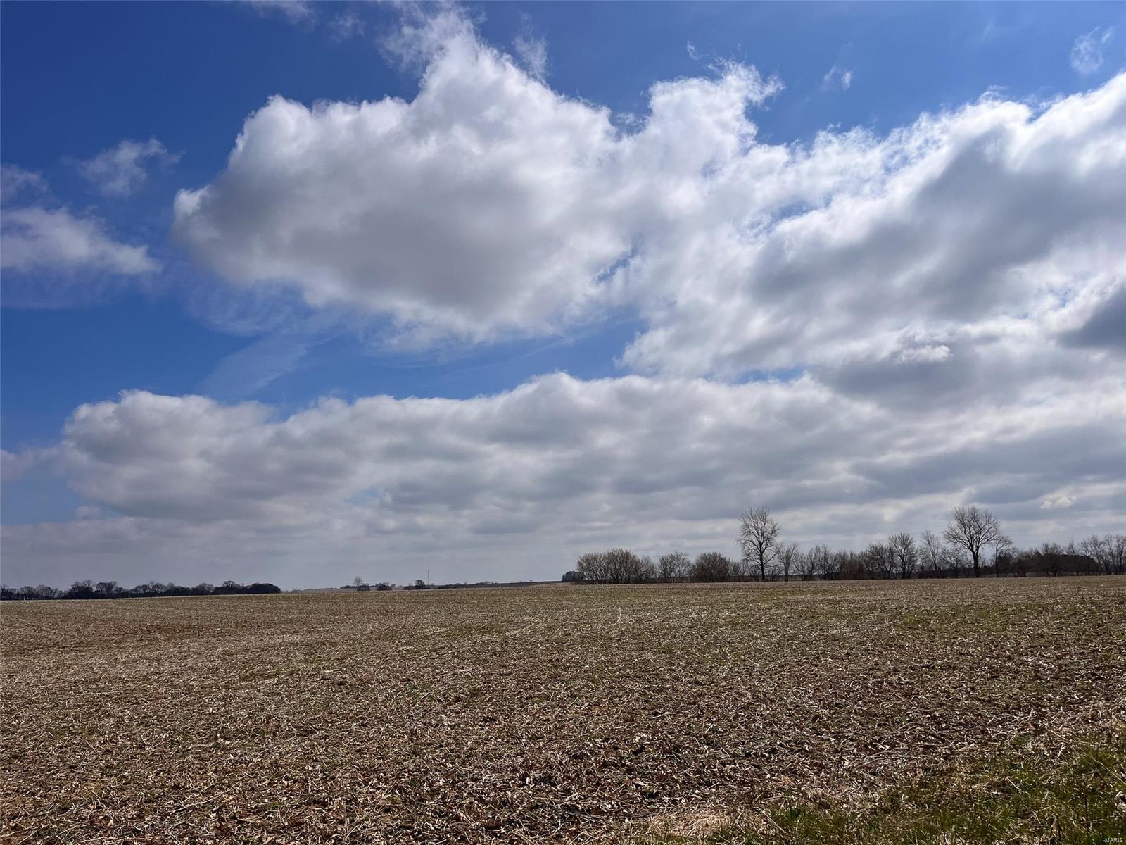 978 Cypress Road St. Jacob, IL 62281 - Photo 61 of 62