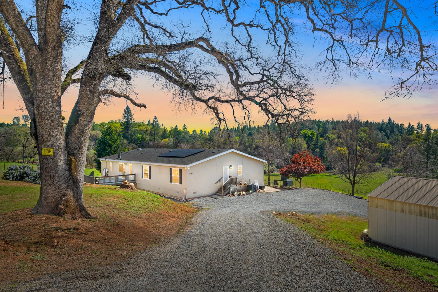 a view of house with backyard and a tree