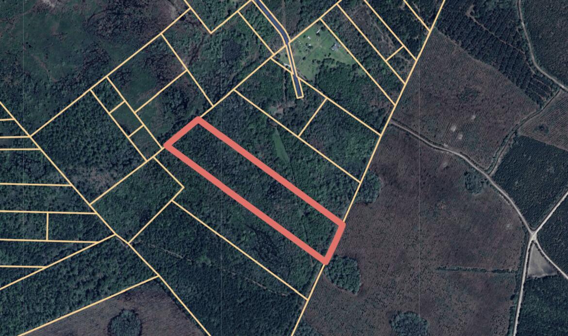 0 Misty Ridge Lane Walterboro, SC 29488 - Photo 1 of 5 00MistyRidge1