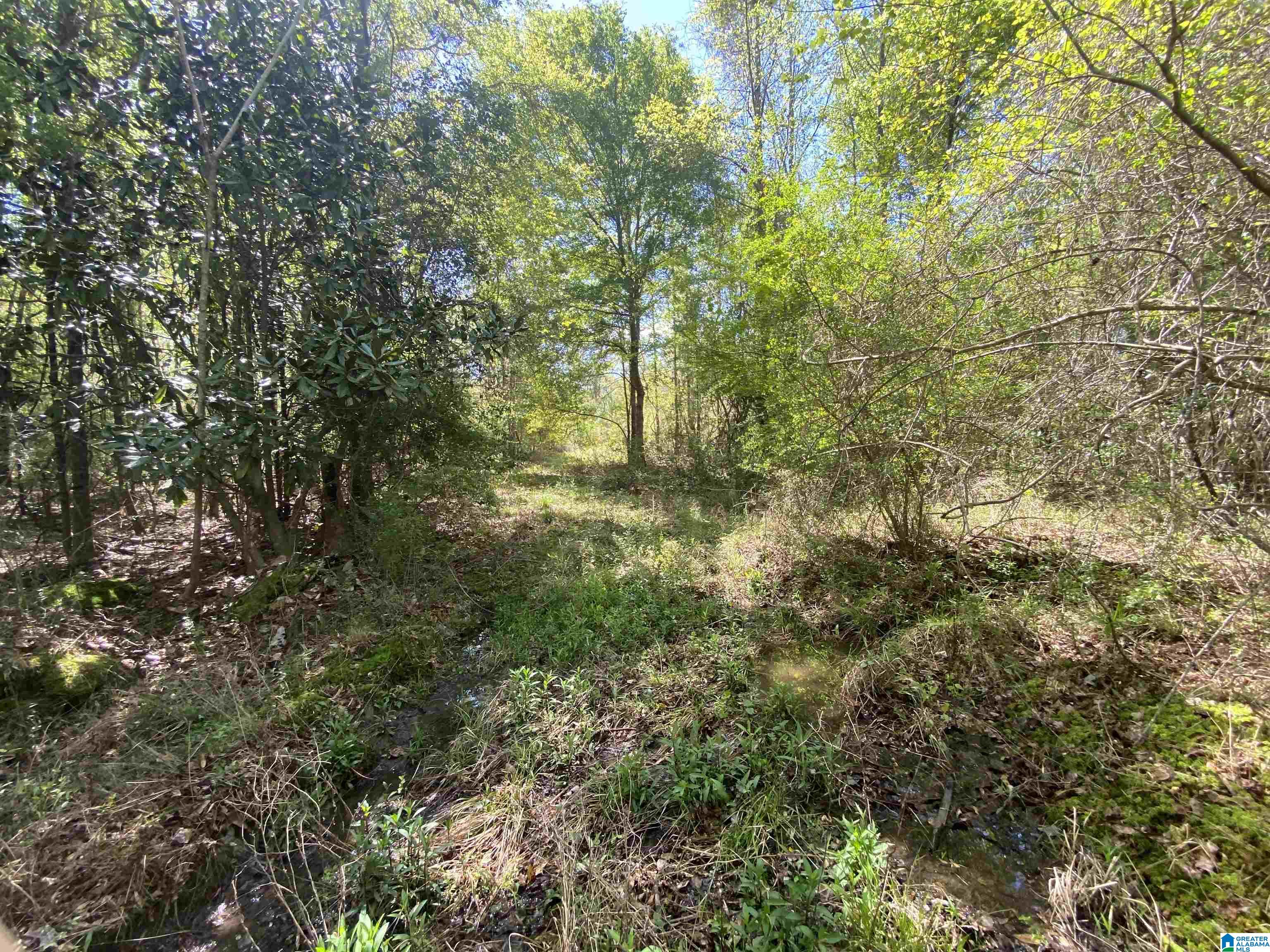 0 Richardson Road Brewton, AL 36426 - Photo 16 of 47