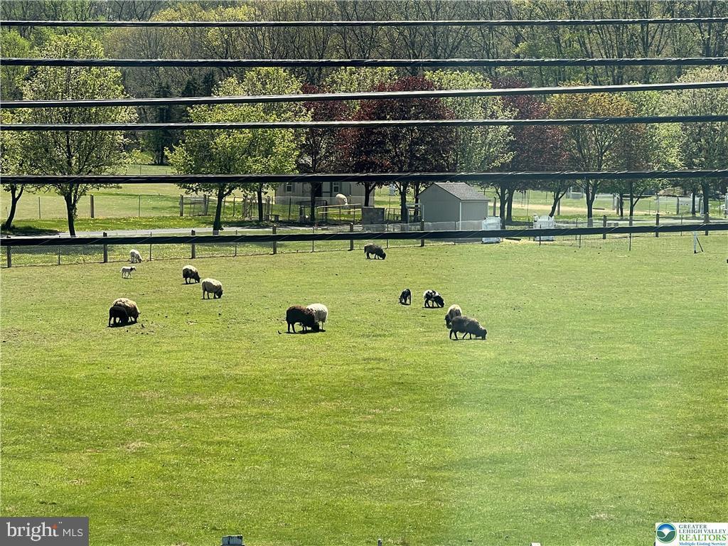 10425 Old Highway 22 Kutztown, PA 19530 - Photo 31 of 31