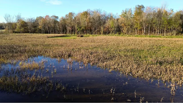 a view of an outdoor space and a yard
