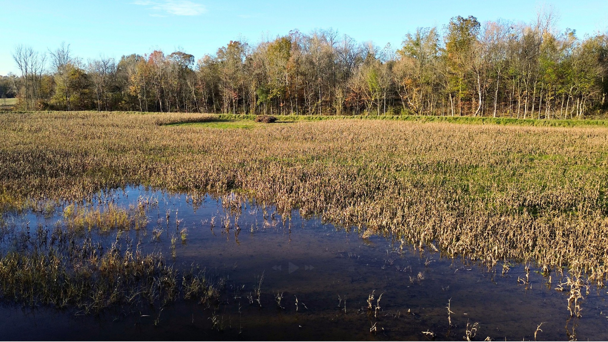 a view of an outdoor space and a yard