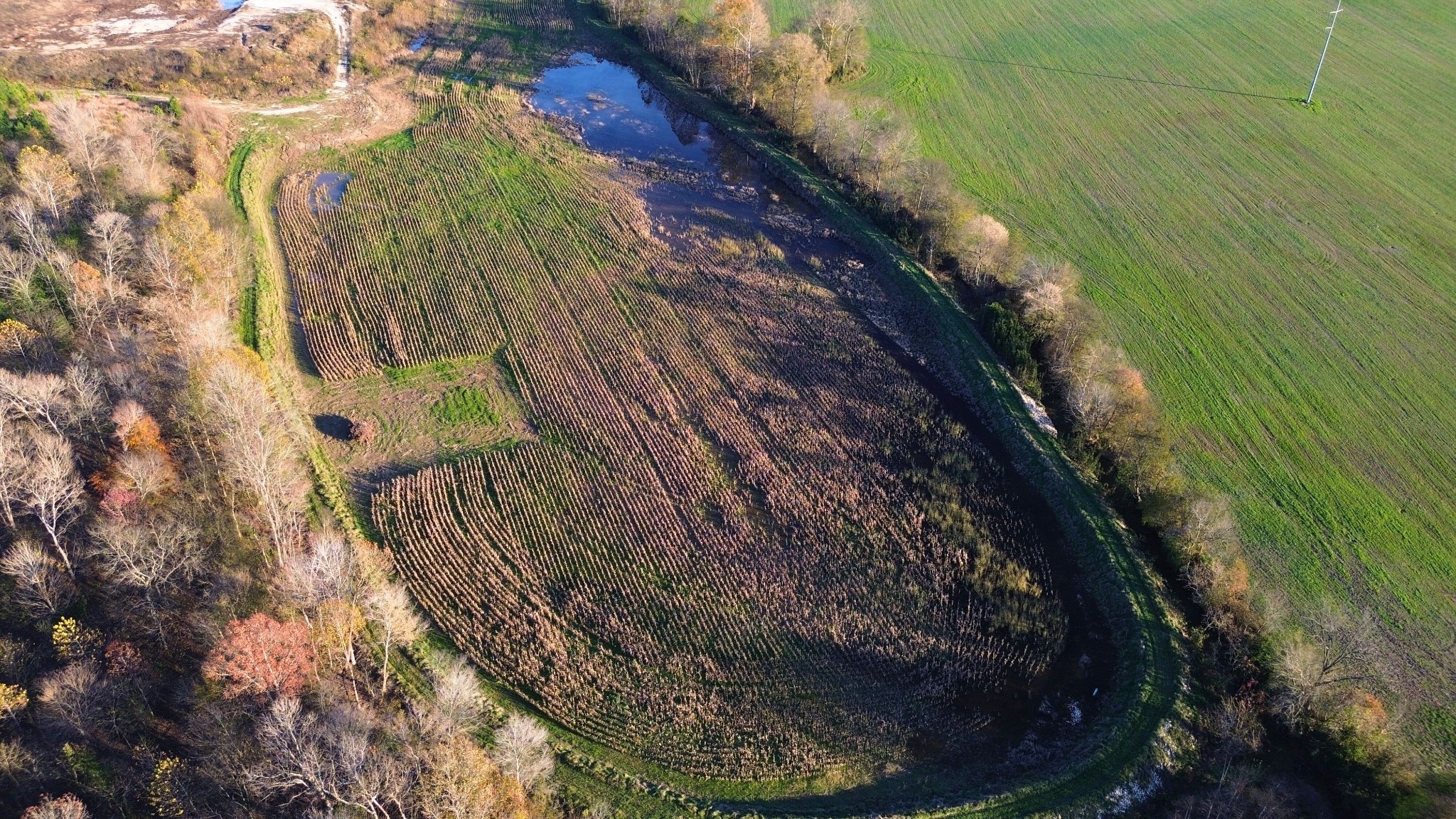 129 Tom White Road Big Sandy, TN 38221 - Photo 12 of 14