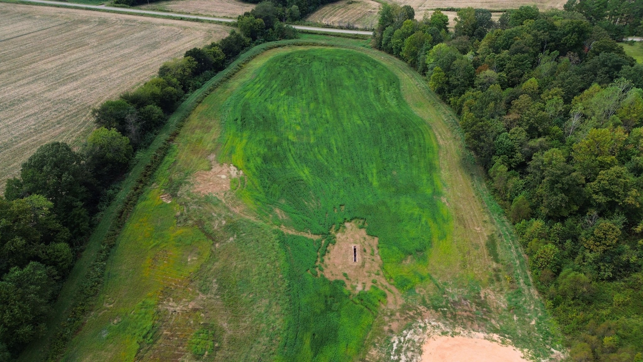 129 Tom White Road Big Sandy, TN 38221 - Photo 4 of 14