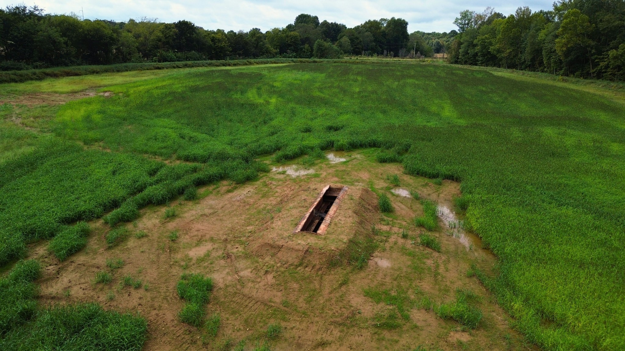 129 Tom White Road Big Sandy, TN 38221 - Photo 5 of 14