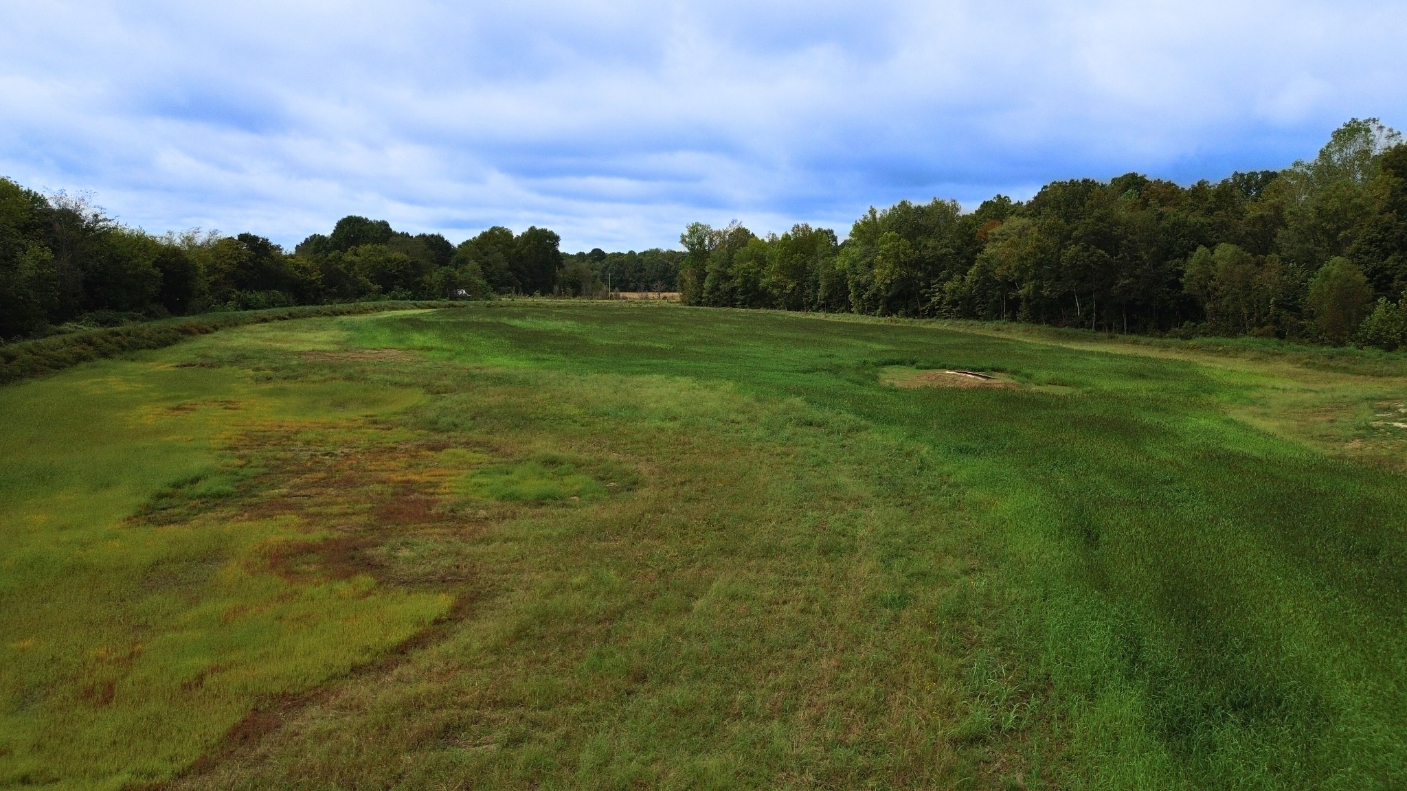 129 Tom White Road Big Sandy, TN 38221 - Photo 6 of 14