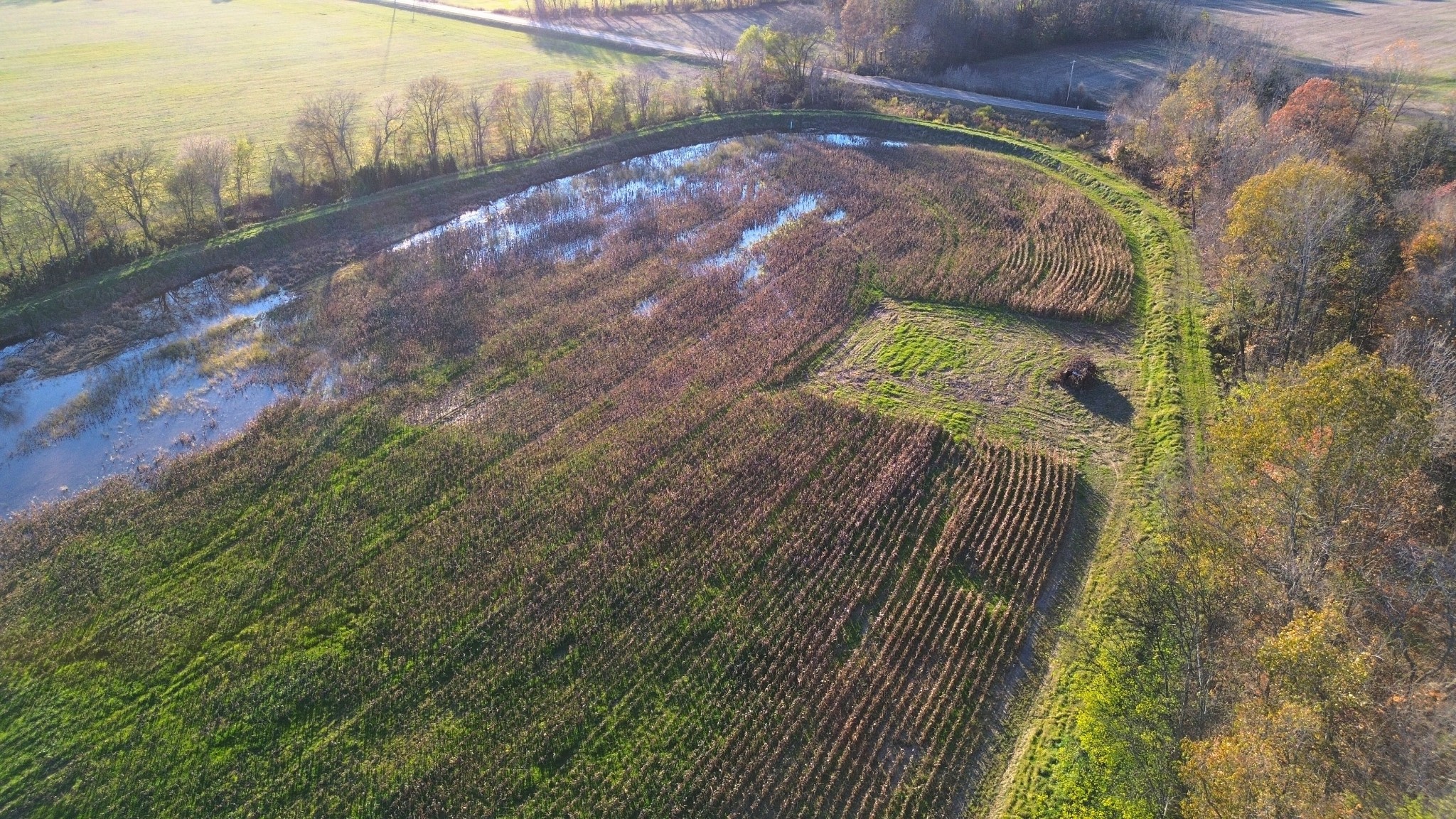 129 Tom White Road Big Sandy, TN 38221 - Photo 7 of 14