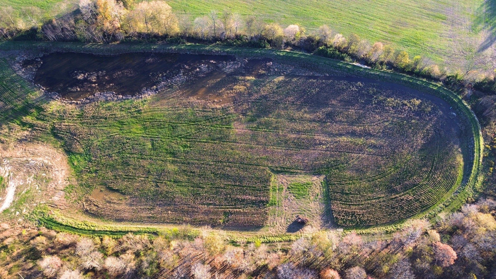 129 Tom White Road Big Sandy, TN 38221 - Photo 9 of 14