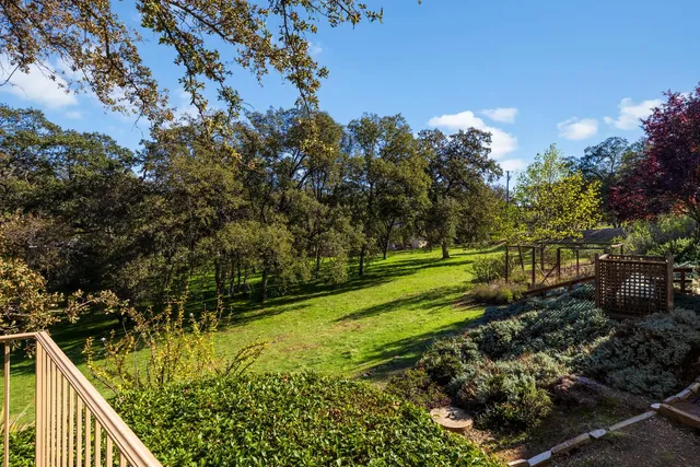 a view of a garden with an outdoor space