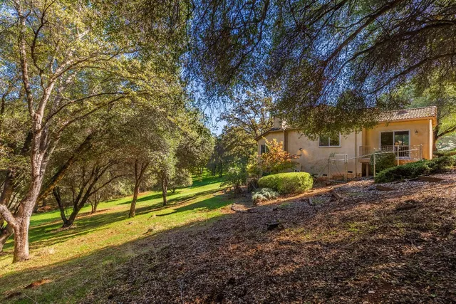 a view of a yard with large trees
