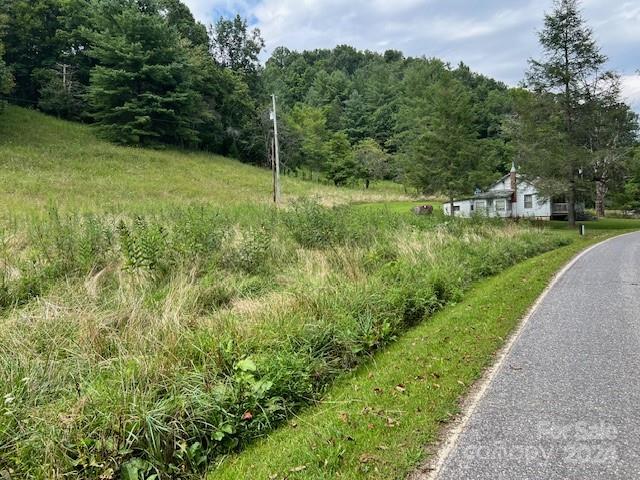 1030 Long Branch Road Green Mountain, NC 28740 - Photo 12 of 16 a view of a garden with a tree