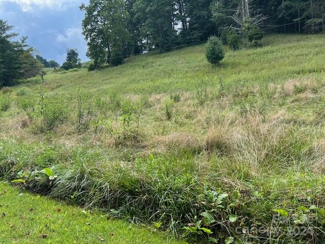 1030 Long Branch Road Green Mountain, NC 28740 - Photo 13 of 16 a view of yard with green space
