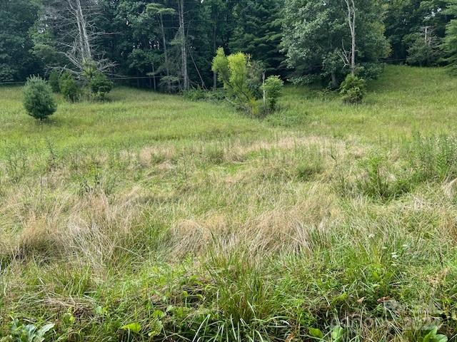 1030 Long Branch Road Green Mountain, NC 28740 - Photo 14 of 16