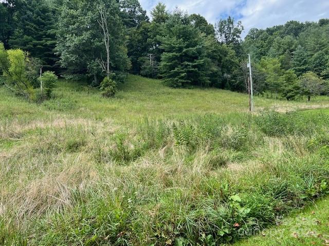 1030 Long Branch Road Green Mountain, NC 28740 - Photo 15 of 16 a view of an outdoor space and a yard