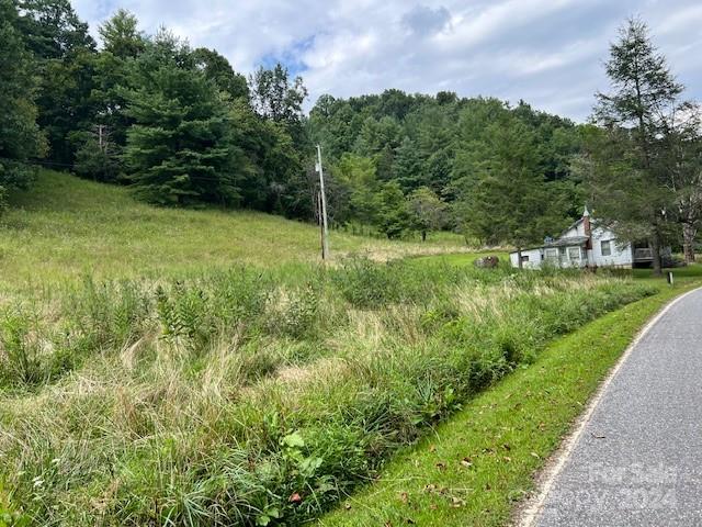 1030 Long Branch Road Green Mountain, NC 28740 - Photo 16 of 16 a view of outdoor space and yard