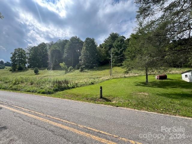 1030 Long Branch Road Green Mountain, NC 28740 - Photo 6 of 16 a view of a park with large trees